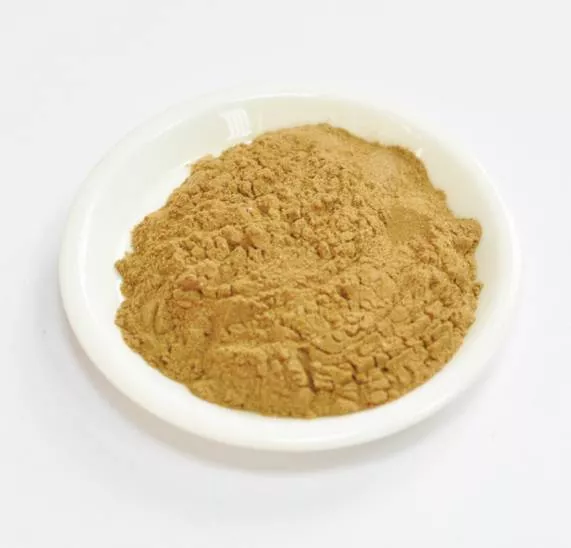 Сухой экстракт эмблики (плоды) (лат. Emblica officinalis)
